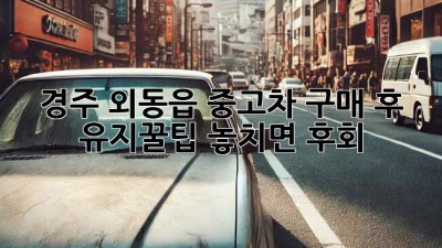 경주 외동읍 중고차 구매 후 유지꿀팁🍯 놓치면 후회!