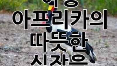 말라위 여행: 아프리카의 따뜻한 심장을 느껴보세요!
